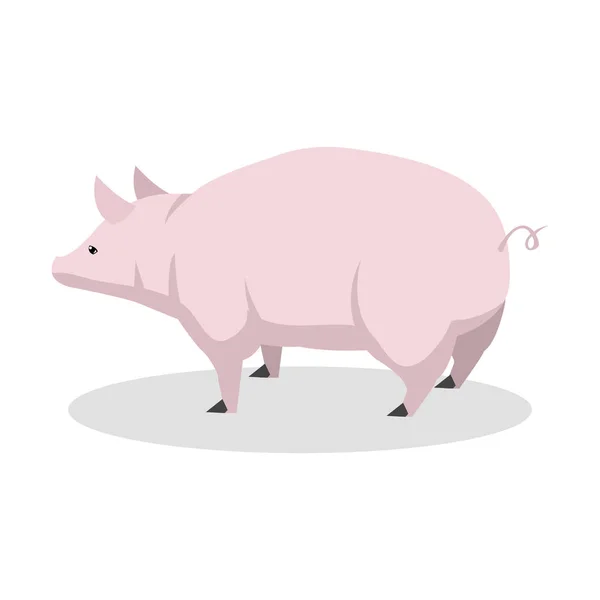 Pink pig color illustration design — Stock Vector