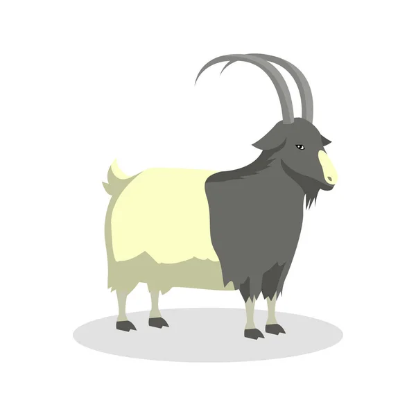 Goat color illustration design — Stock Vector