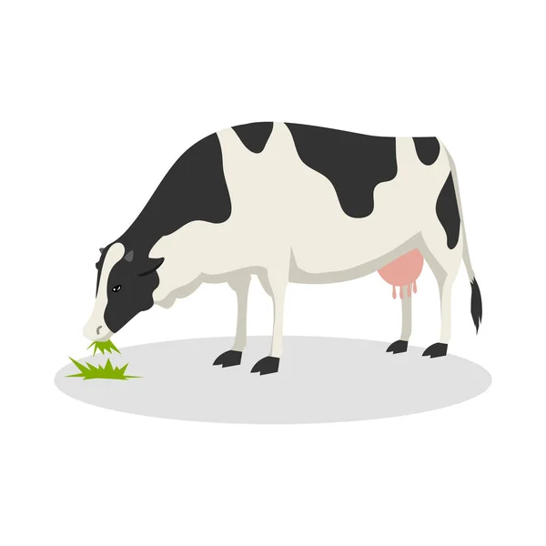 Conception illustration couleur vache — Image vectorielle