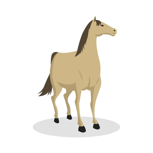 Design de ilustração de cor de cavalo — Vetor de Stock