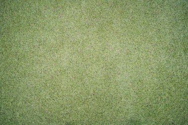 Güzel yeşil çimen desenleri yakın, golf sahası, futbol sahası ve diğer spor sahaları için çim sahası..