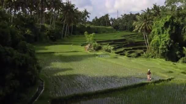 Timelapse de la terrasse de riz à Ubud, Bali 