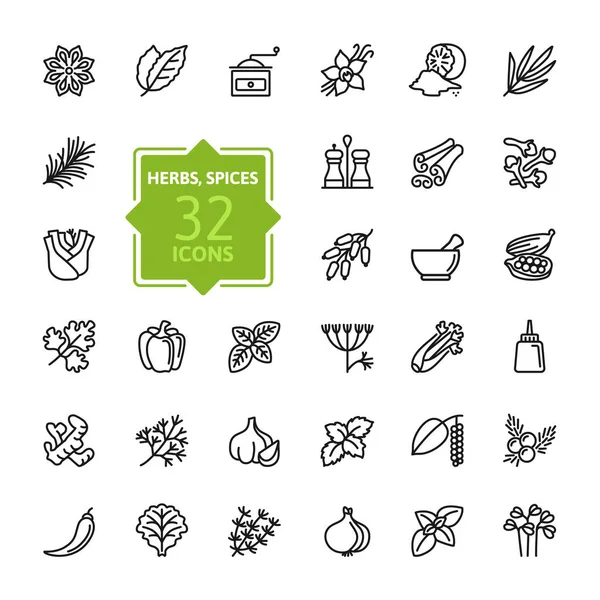 Fűszerek Fűszerek Gyógynövények Minimális Vékony Vonal Webes Icon Set Vázlatos — Stock Vector