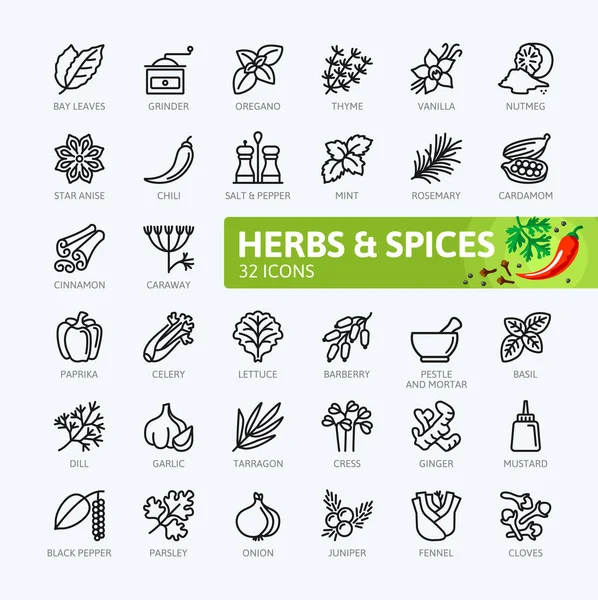 Fűszerek Fűszerek Gyógynövények Minimális Vékony Vonal Webes Icon Set Vázlatos — Stock Vector