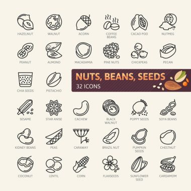 Fındık, tohum ve fasulye öğeleri - en az satır web Icon set ince. Anahat simgeleri koleksiyonu. Basit vektör çizim.