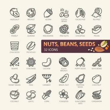 Nuts, seeds and beans elements - minimal thin line web icon set. Outline icons collection. Simple vector illustration. clipart