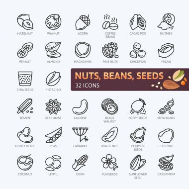 Fındık, tohum ve fasulye öğeleri - en az satır web Icon set ince. Anahat simgeleri koleksiyonu. Basit vektör çizim.