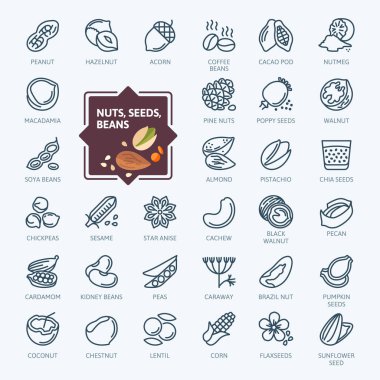 Fındık, tohum ve fasulye öğeleri - en az satır web Icon set ince. Anahat simgeleri koleksiyonu. Basit vektör çizim.