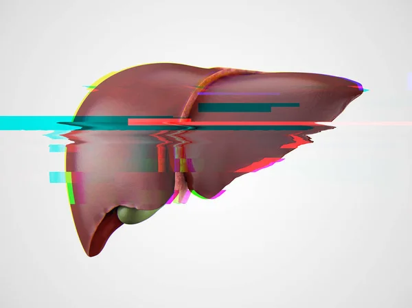 Realistic human liver glitch effect — Stock Photo, Image