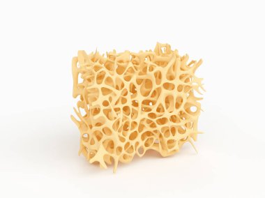 Kemik yapısı bölümü üzerinde beyaz izole Osteoporoz ile