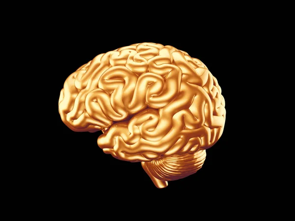 Goldenes Gehirn isoliert — Stockfoto