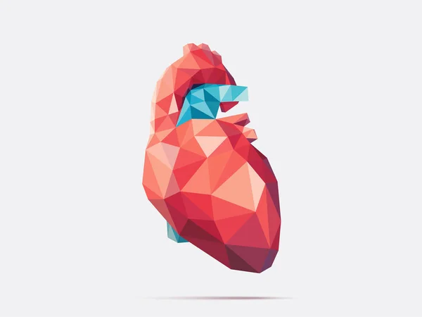 Herz niedrig poly facettiert — Stockvektor