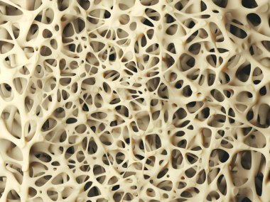 Bone structure close-up clipart