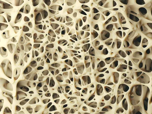 Zbliżenie struktury kości — Zdjęcie stockowe