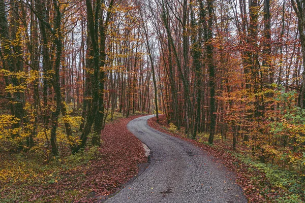 Beautiful road on late fall