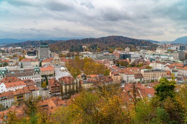 Ljubljana şehir panoraması