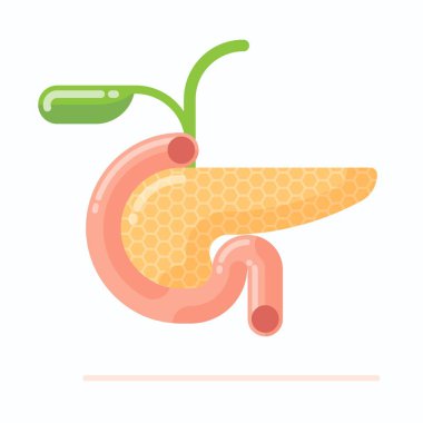 Safra kesesi olan insan pankreası