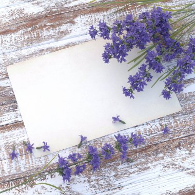 Kutlama geçmişi, davetiye, tebrik kartı. Ahşaptan yapılmış ahşap bir masanın üzerinde, narin bir demet lavanta içeren eski ve temiz bir kağıt. Metin için boşluğu olan bir kağıt yaprağı.