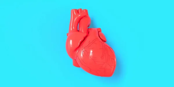 Realistický Model Lidského Srdce Stínem Izolovaným Modrém Pozadí — Stock fotografie