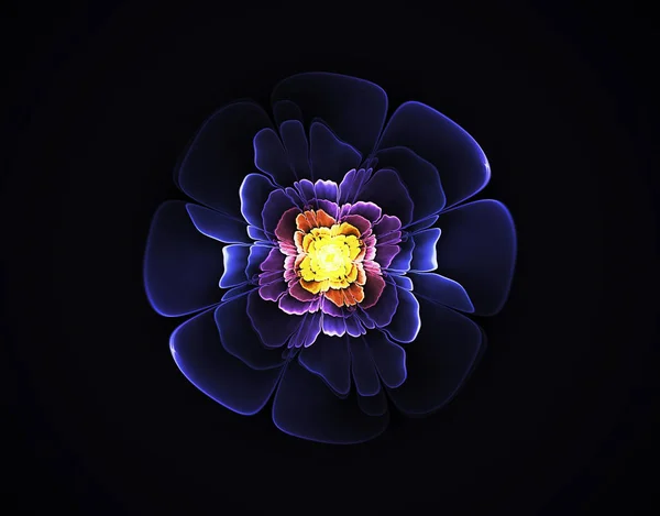 Flor fractal abstrata — Fotografia de Stock
