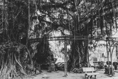 Da Nang, Vietnam 'daki terk edilmiş ve çürümüş eğlence parkının siyah beyaz resmi. 