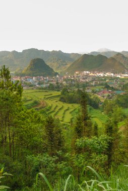 Tam Son in Ha Giang, Vietnam 'da pirinç tarlaları 