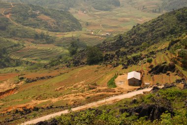   Ha Giang, Vietnam 'da pirinç tarlalarının manzarası.  