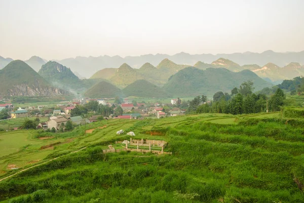 Reisterrassen Tam Son Giang Vietnam — Stockfoto