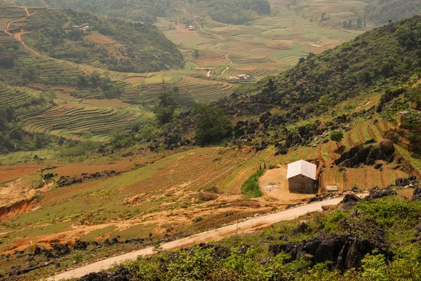 Paisaje Terrazas Arroz Giang Vietnam —  Fotos de Stock