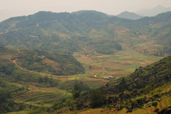 Enormes Terrazas Arroz Giang Vietnam —  Fotos de Stock