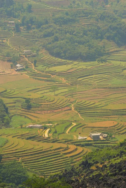 Panorama Terrazas Arroz Giang Vietnam — Foto de Stock