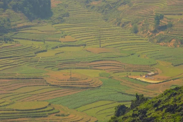 Scenery Rice Terraces Giang Vietnam — Stock Photo, Image