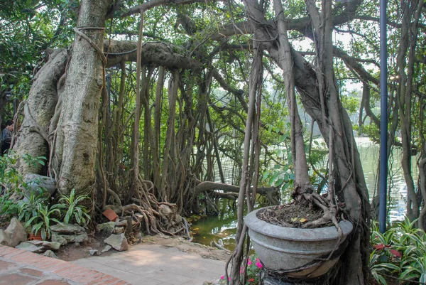 Garden Temple Jade Mountain Hanoiban Vietnamban — Stock Fotó