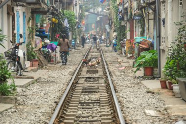 Tavuklar Hanoi, Vietnam 'da tren yolunda yemek yiyorlar. 