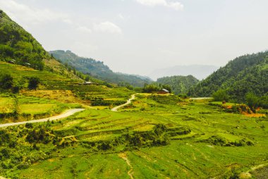 Sapa, Vietnam 'da güzel yeşil pirinç terasları manzarası