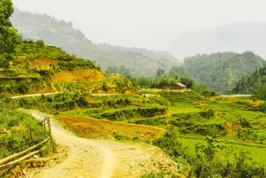 Sapa, Vietnam 'daki pirinç teraslarından geçmenin bir yolu.