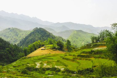 Vadinin panoramik manzarası pirinç terasları ile çevrili Sapa dağları, Vietnam