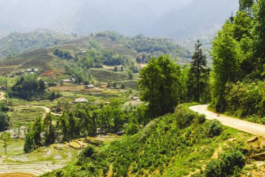 Sapa 'nın güzel doğasının manzarası pirinç terasları, Vietnam
