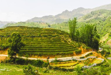 Sapa 'nın güzel doğası, pirinç terasları, Vietnam