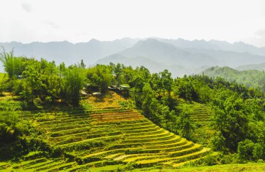 Sapa 'nın güzel doğasının panoramik manzarası, pirinç terasları, Vietnam