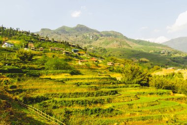 Linh Ho Vadisi 'nin pirinç teraslarıyla çevrili dağları Sapa, Vietnam