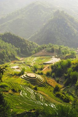 Sapa, Vietnam 'dan Muong Hua Vadisi manzaralı pirinç terasları