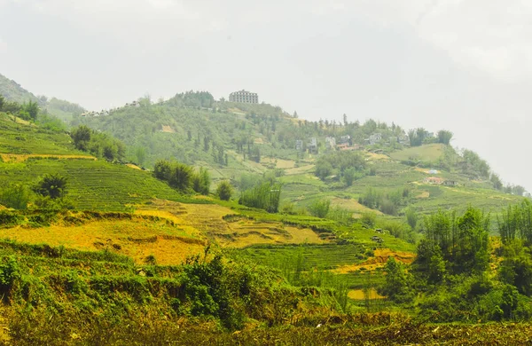 Panorama Van Vallei Met Rijstterrassen Omgeven Door Bergen Van Sapa — Stockfoto