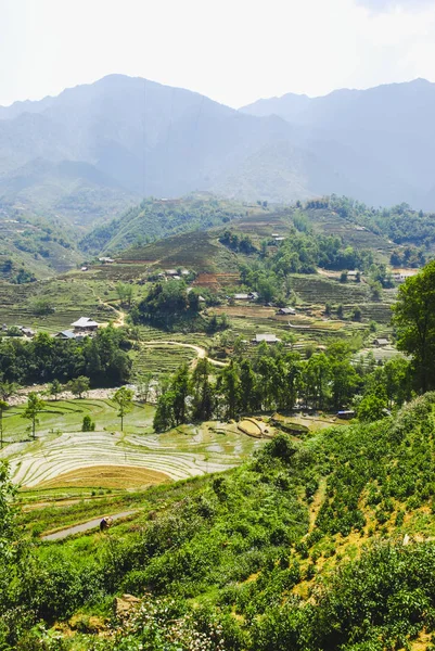 Paysage Vallée Avec Rizières Terrasses Entourées Montagnes Sapa Vietnam — Photo