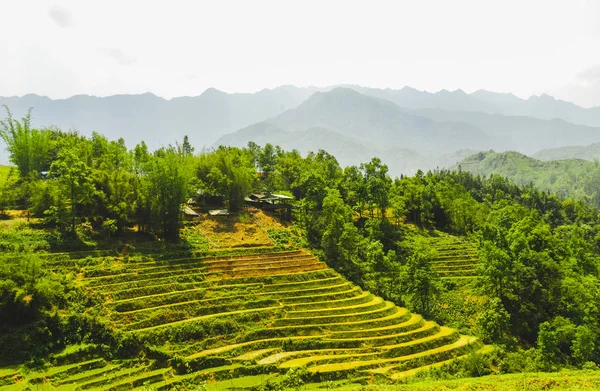 Panoramablick Auf Die Wunderschöne Natur Rund Sapa Mit Reisterrassen Vietnam — Stockfoto