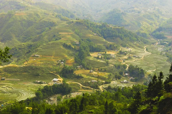 Panorama Del Valle Muong Hua Con Terrazas Arroz Sapa Vietnam —  Fotos de Stock