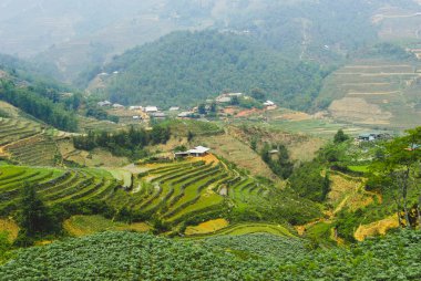 Sapa, Vietnam dağlarıyla çevrili pirinç teraslı vadi manzarası.