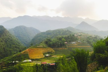 Sapa 'nın güzel doğası, pirinç terasları, Vietnam.