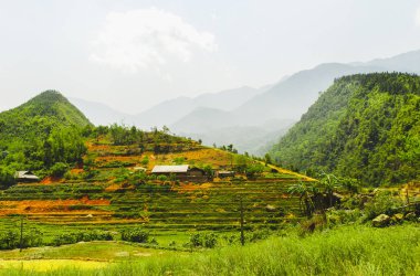 pirinç terasları, sapa, vietnam