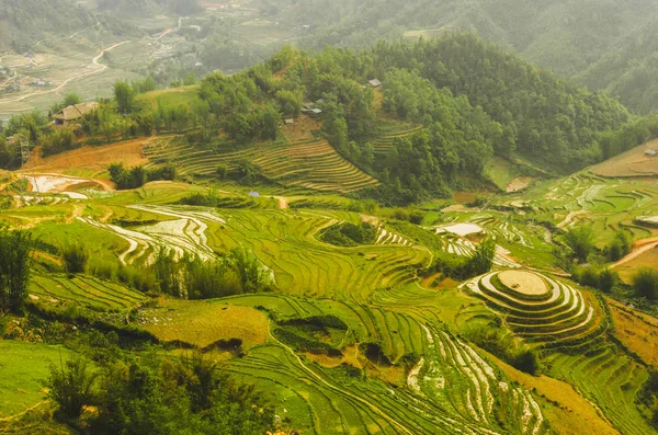 Vista Espectacular Del Valle Muong Hua Con Terrazas Arroz Por —  Fotos de Stock